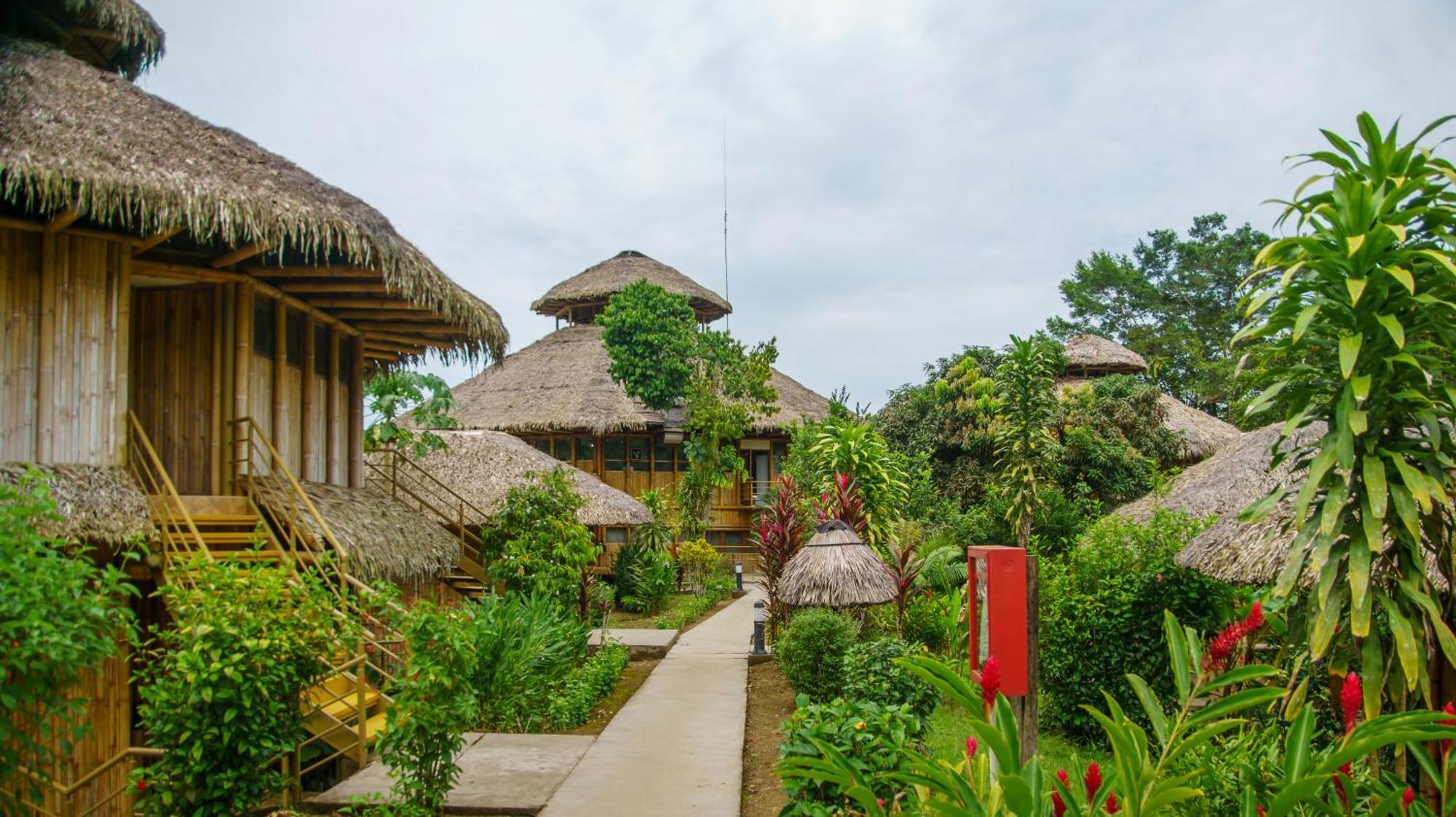 La Selva Eco-Lodge & Retreat Providencia 외부 사진
