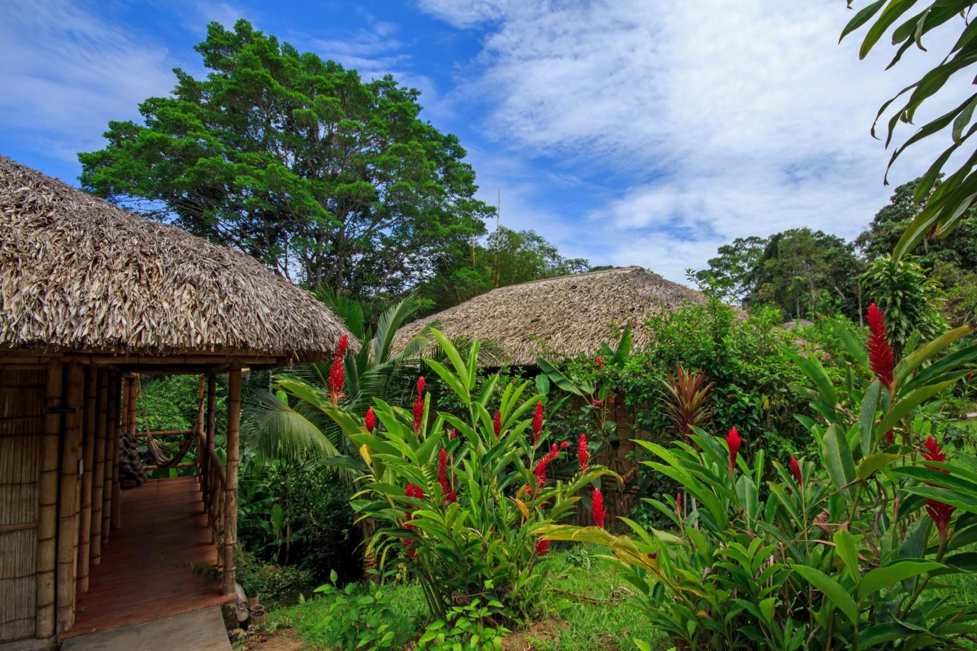 La Selva Eco-Lodge & Retreat Providencia 외부 사진