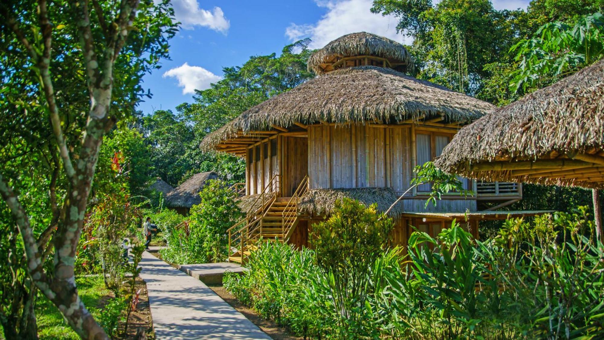 La Selva Eco-Lodge & Retreat Providencia 외부 사진
