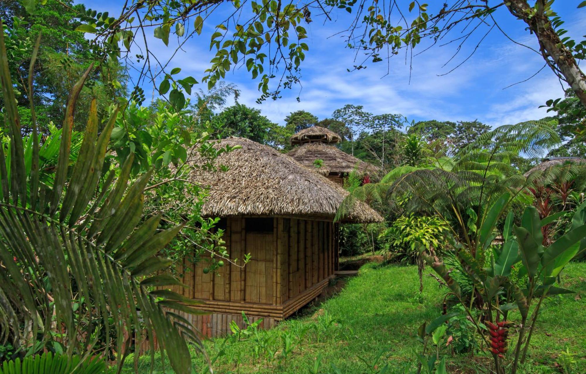 La Selva Eco-Lodge & Retreat Providencia 외부 사진