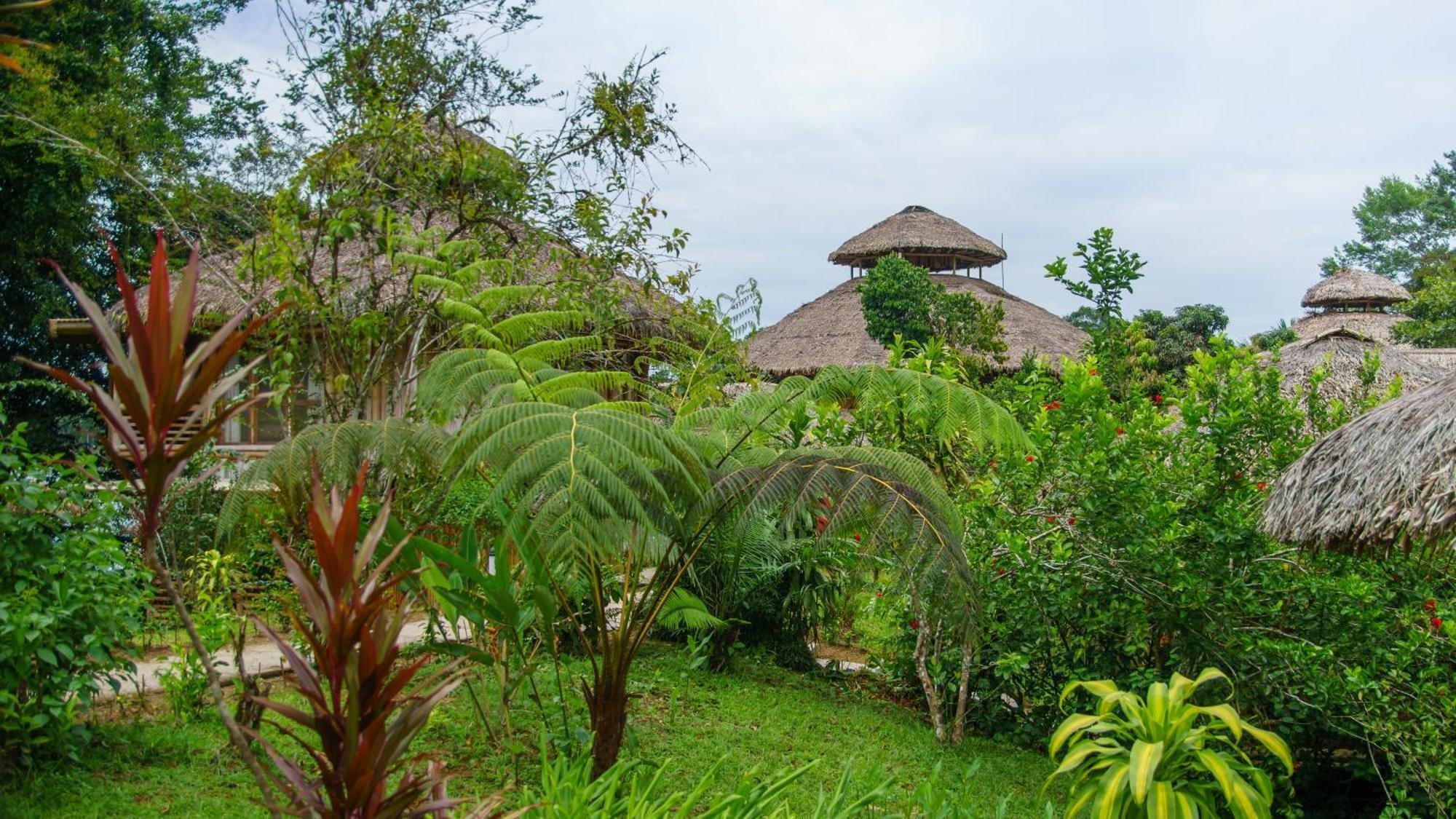 La Selva Eco-Lodge & Retreat Providencia 외부 사진