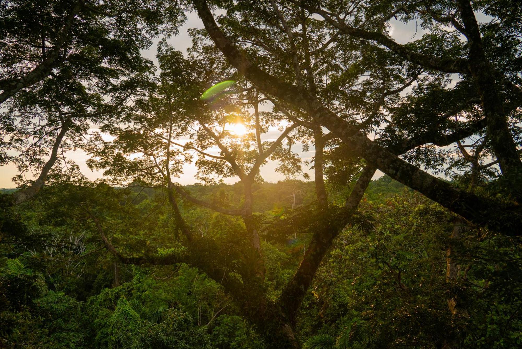 La Selva Eco-Lodge & Retreat Providencia 외부 사진