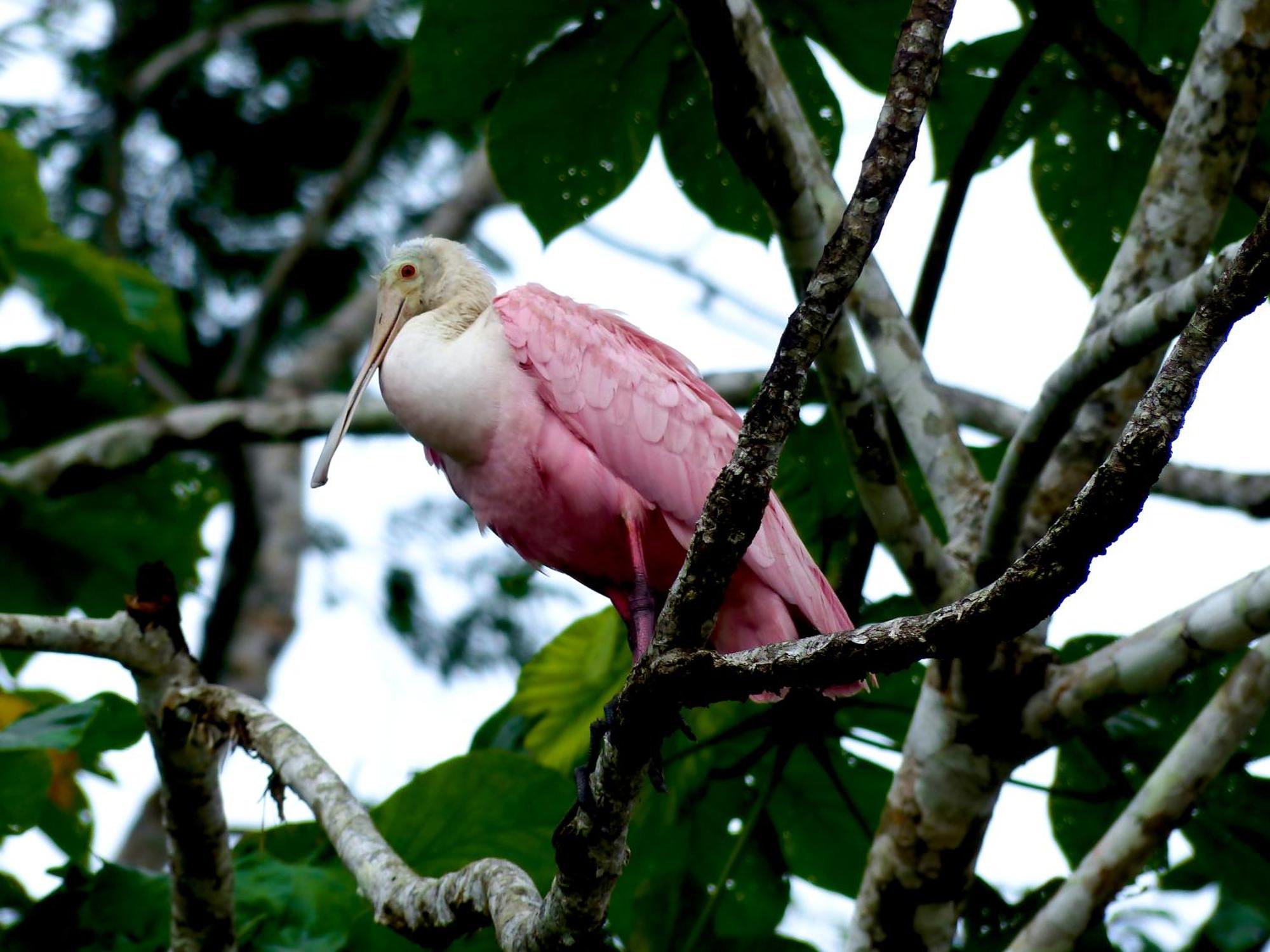 La Selva Eco-Lodge & Retreat Providencia 외부 사진